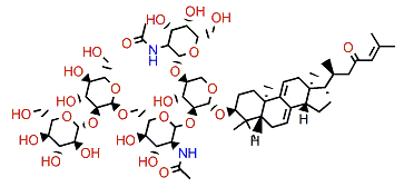 Sarasinoside A2